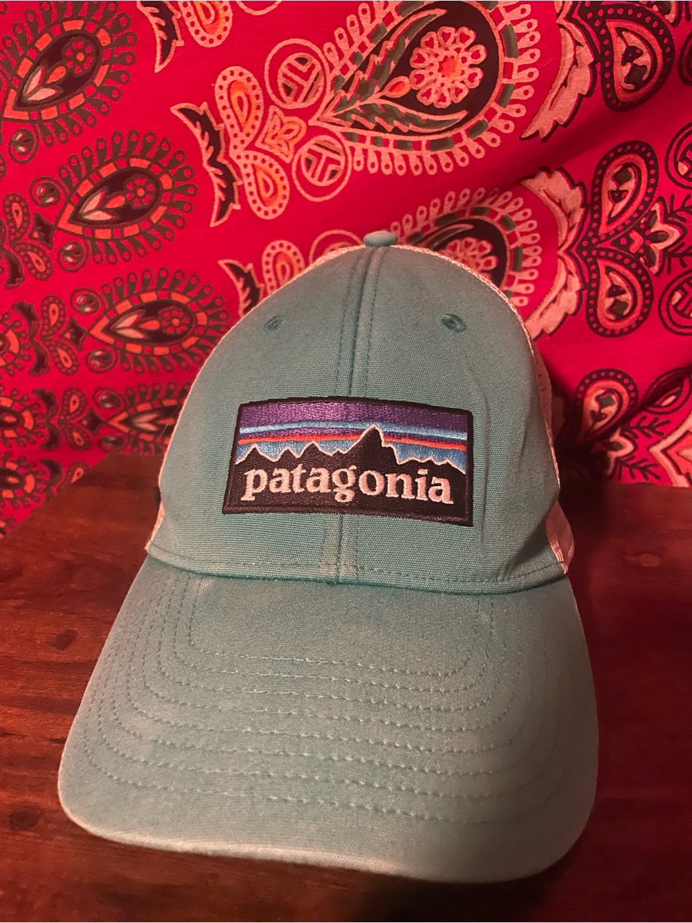 Patagonia Light Blue Baseball Cap